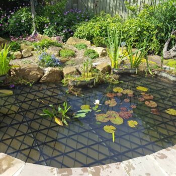 Pond Safety Ltd