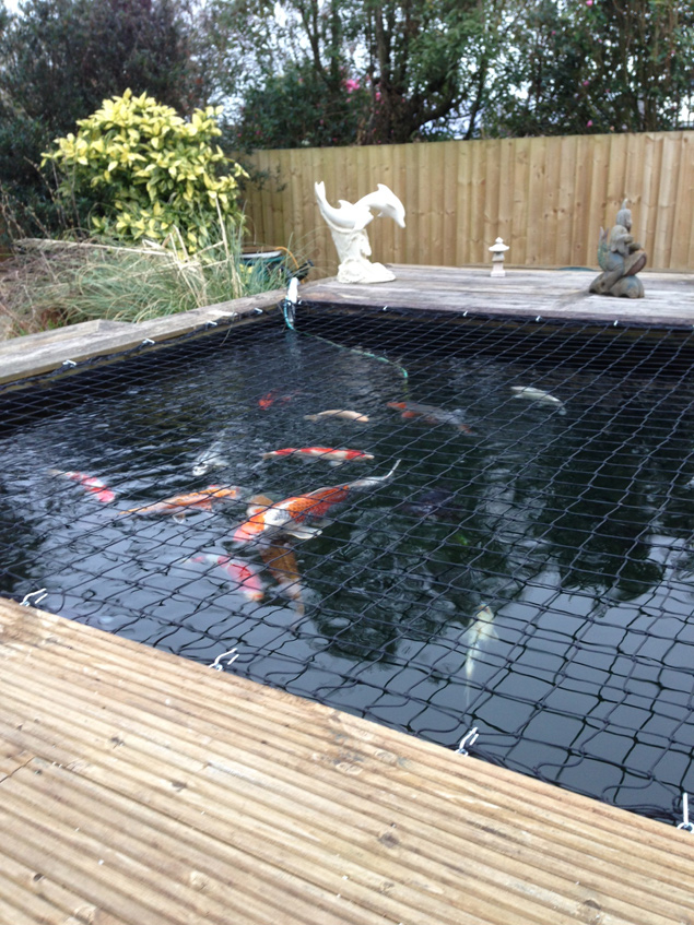 Get A Wholesale fish pond net For Property Protection 