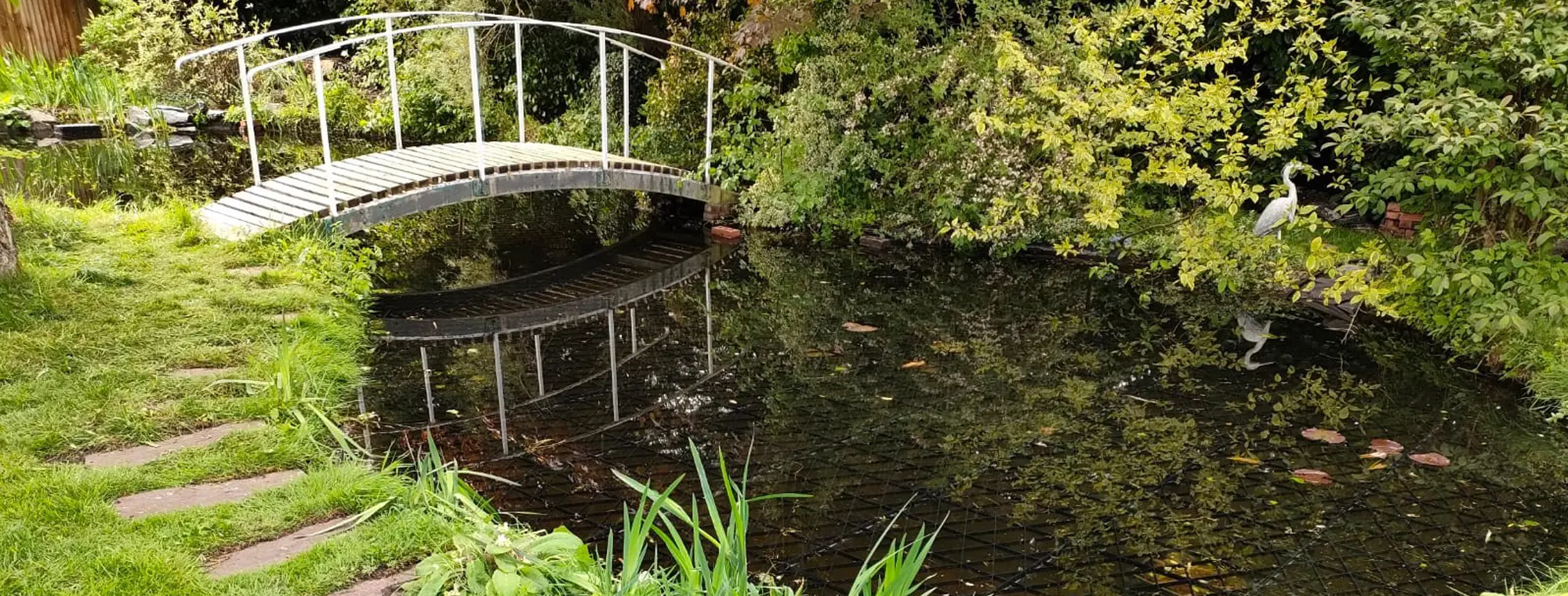 Pond Covers Pond Safety Ltd