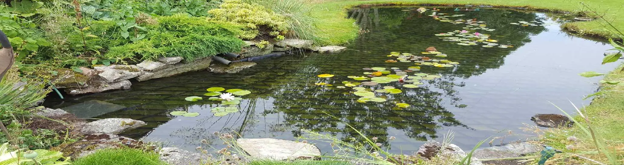 Pond Covers Pond Safety Ltd